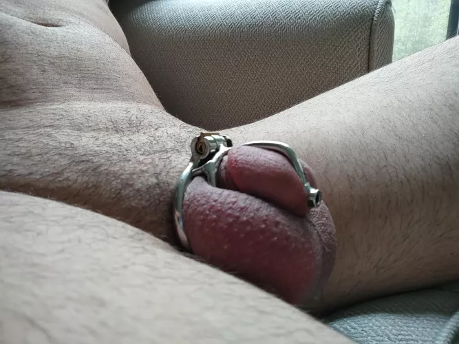 Someone suggested I lock today. What do you think? by barefootnaturist