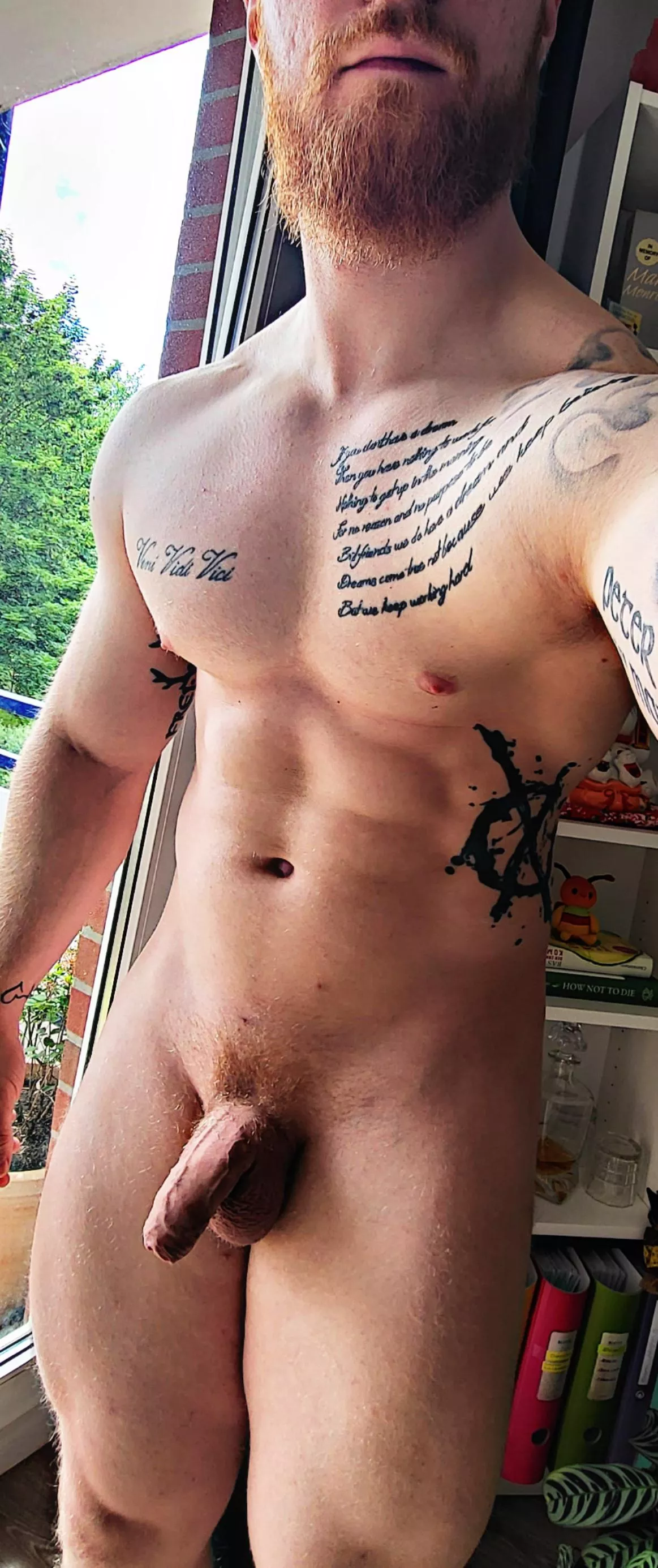 someone wants red one? posted by justanormalguy92