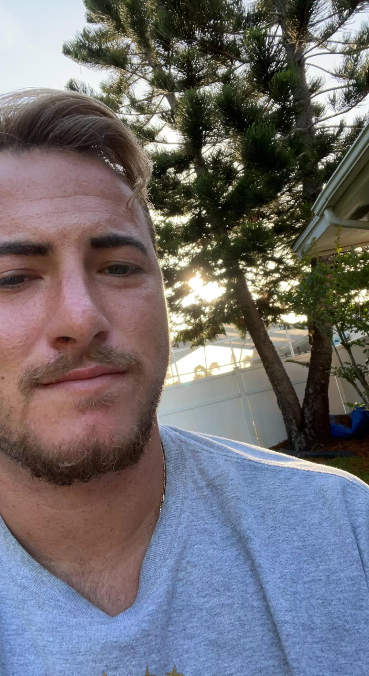 Something about a sunrise through the trees posted by Good_Independence734