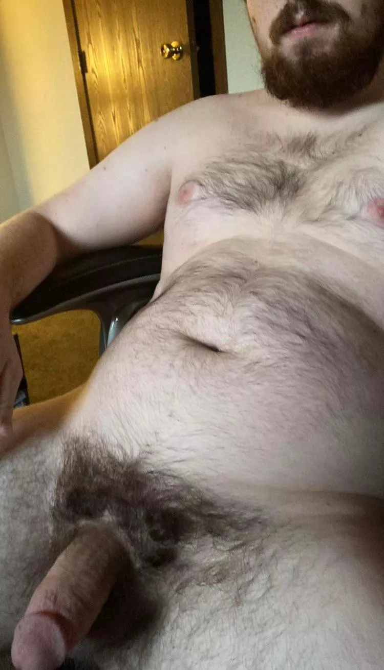 Something to lift your mood this Monday posted by throwaway_bearboi