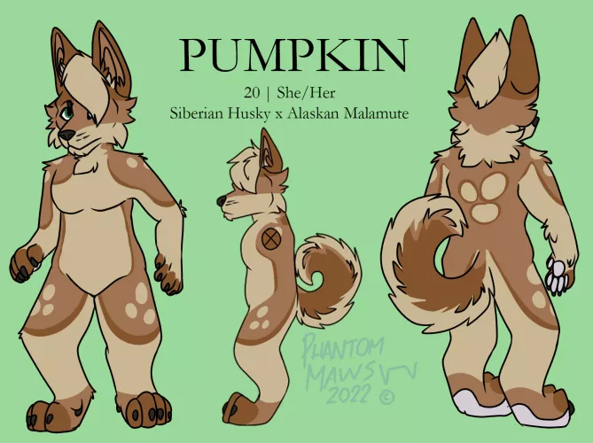 Sona Refsheet by PhantomMaws