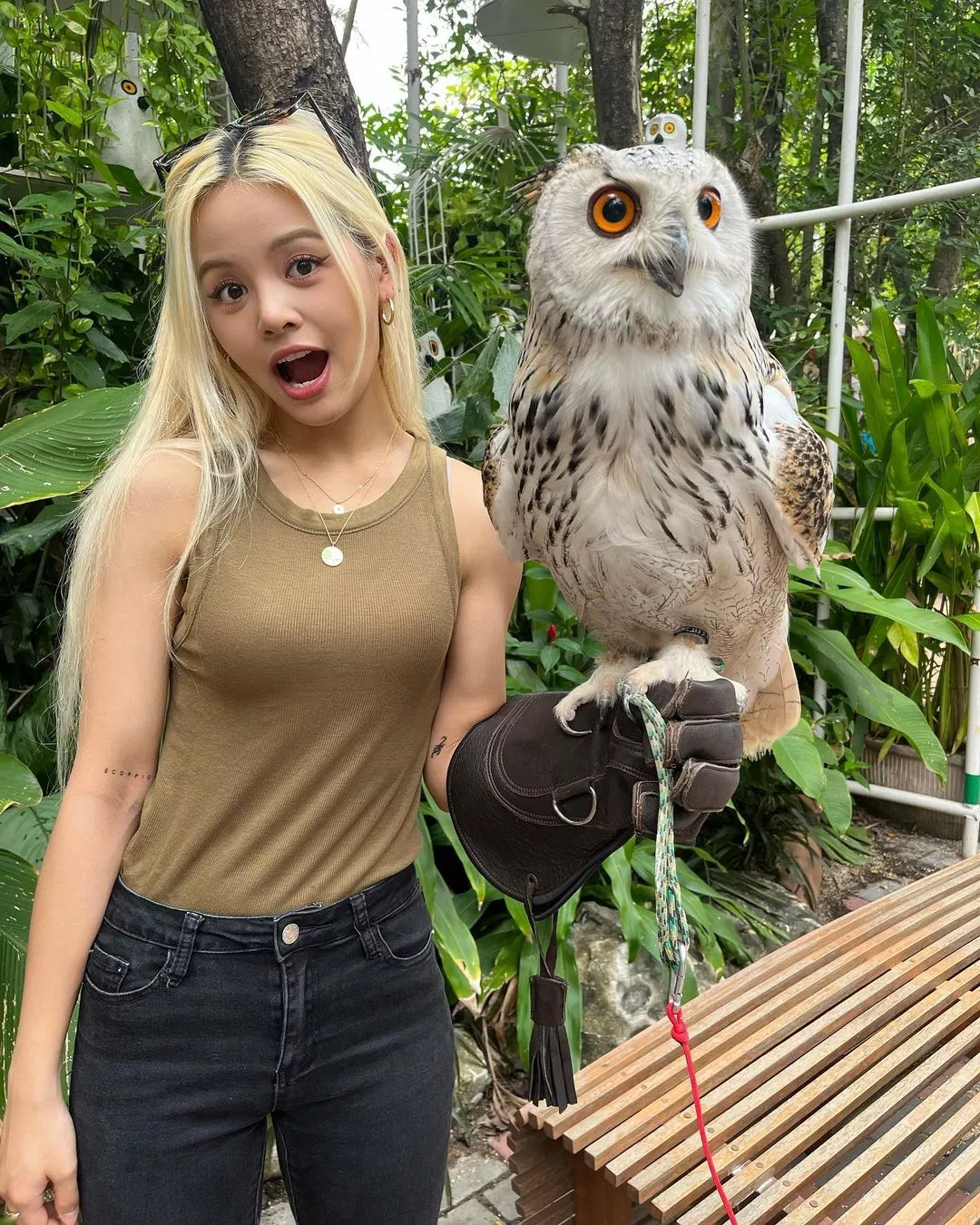 Sorn - Ex CLC posted by KingSettle