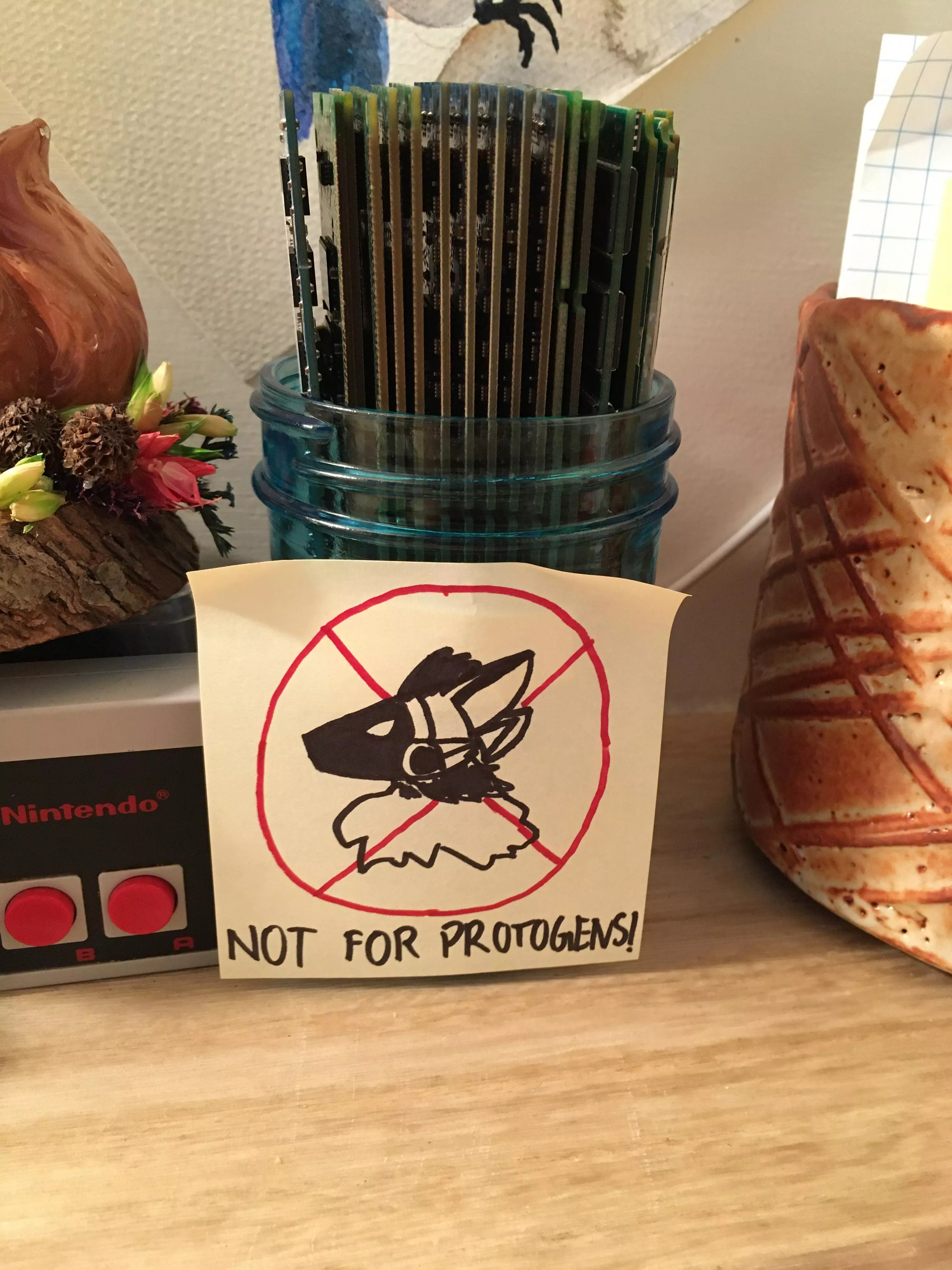 Sorry protos, my 36GB of assorted RAM is off limits! posted by Environmental-Gur582