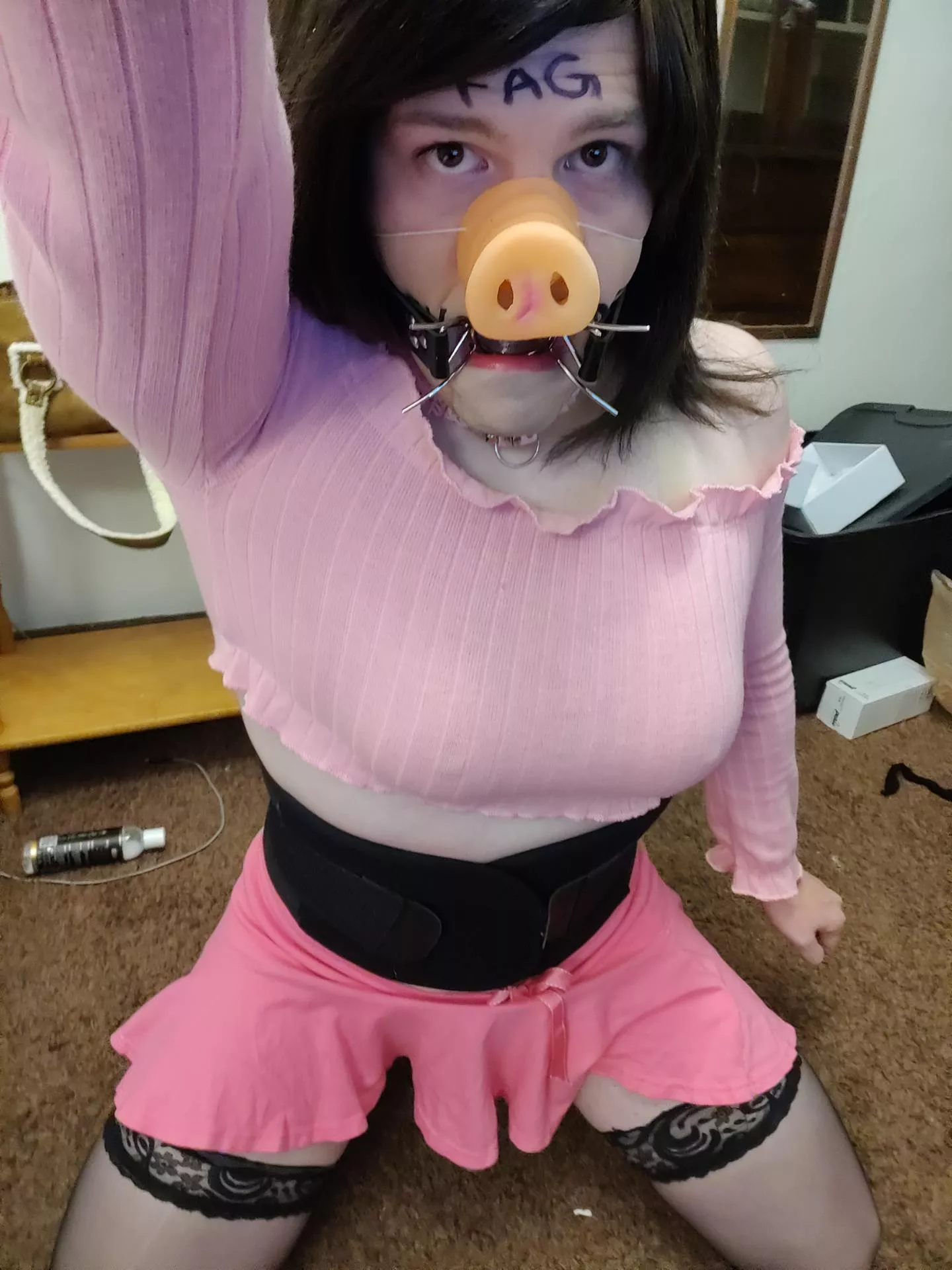 speedrun of the obliteration of my dignity, how stupid do I look? posted by ditzysissicunt