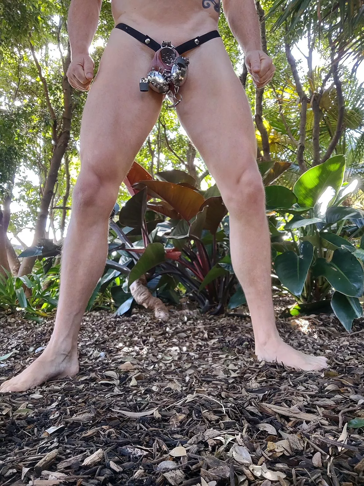 Spiked Testicle Crushers posted by tasupro