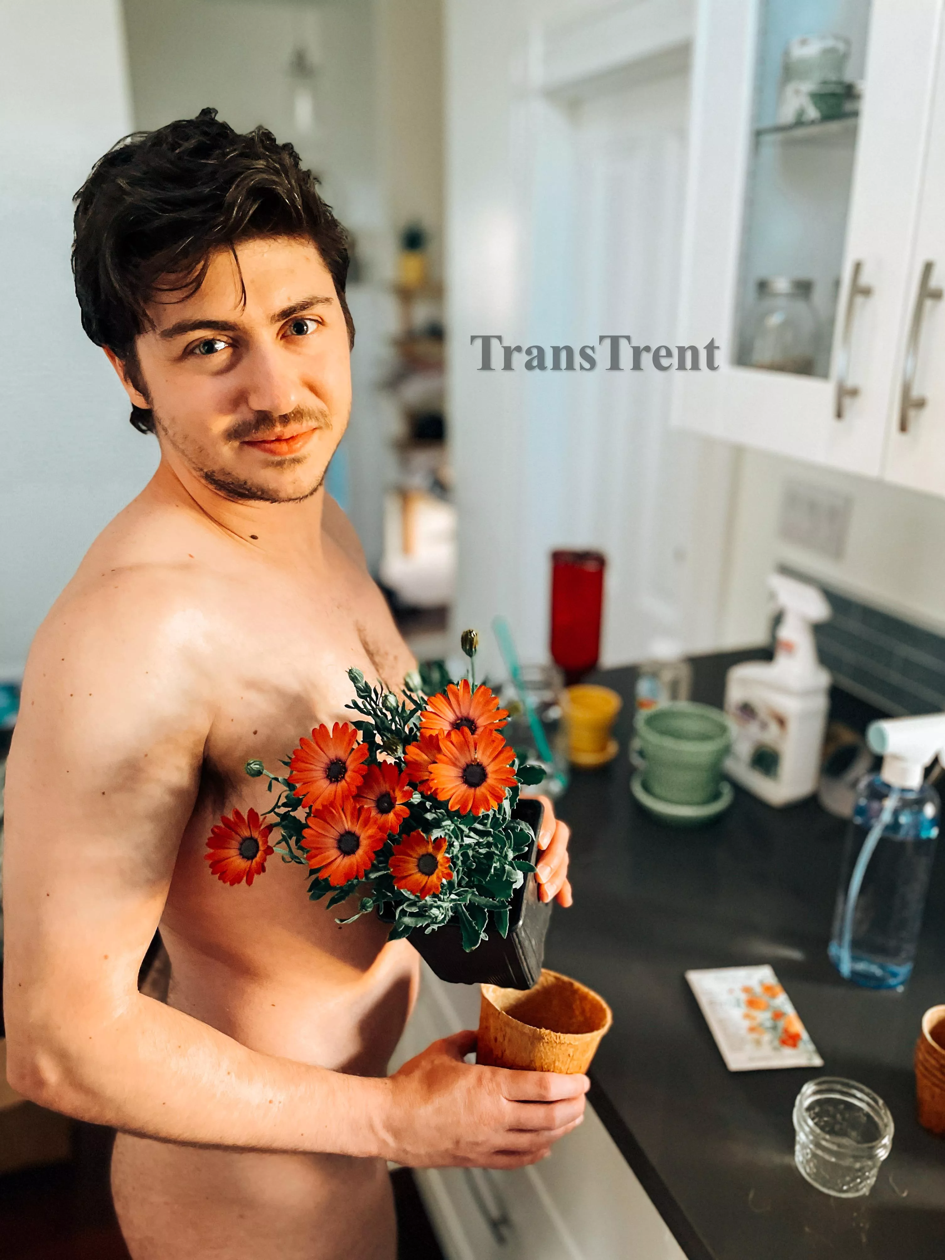 Spring fling posted by TransTrent