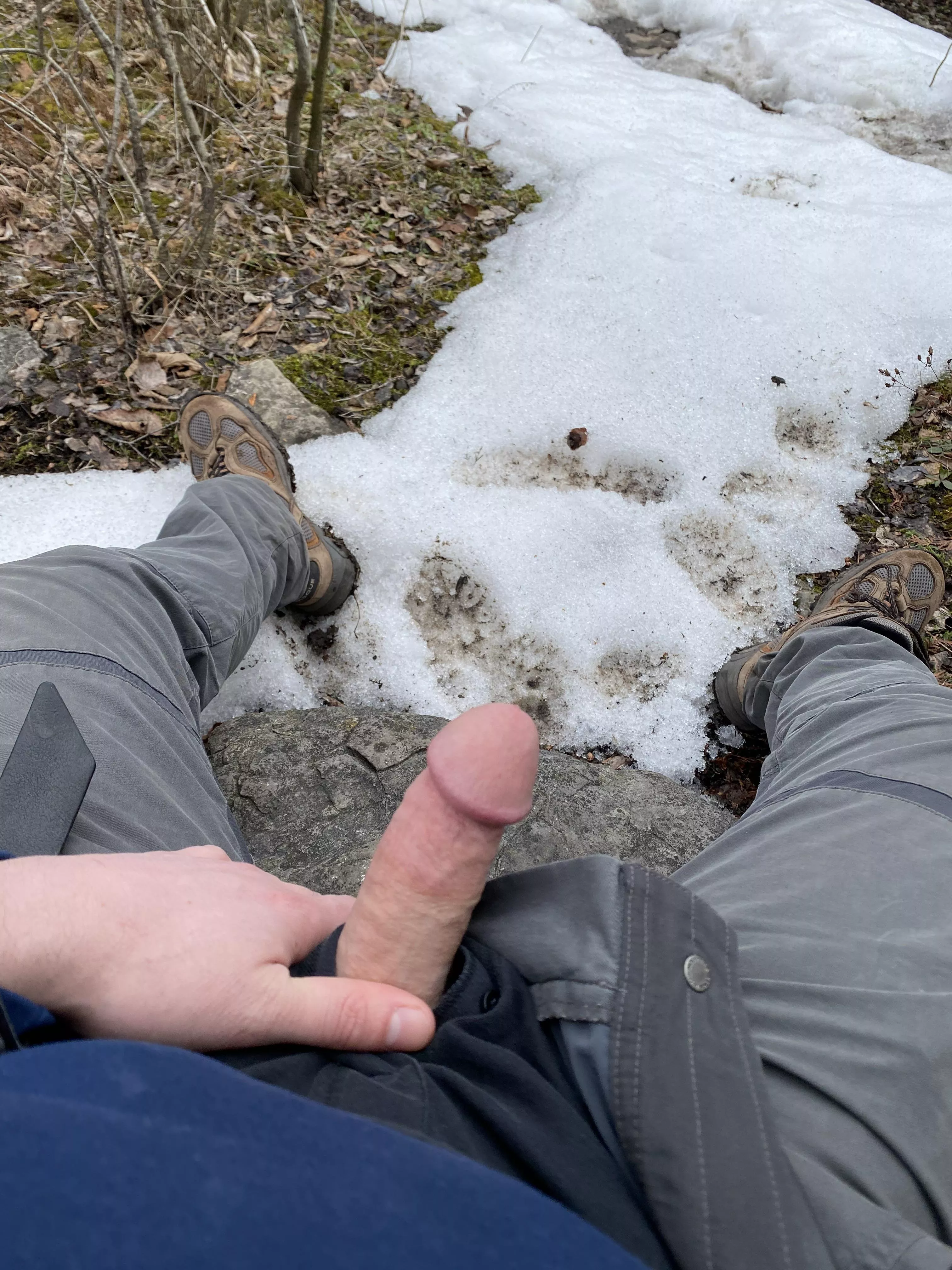 Spring has sprung posted by beardyboner