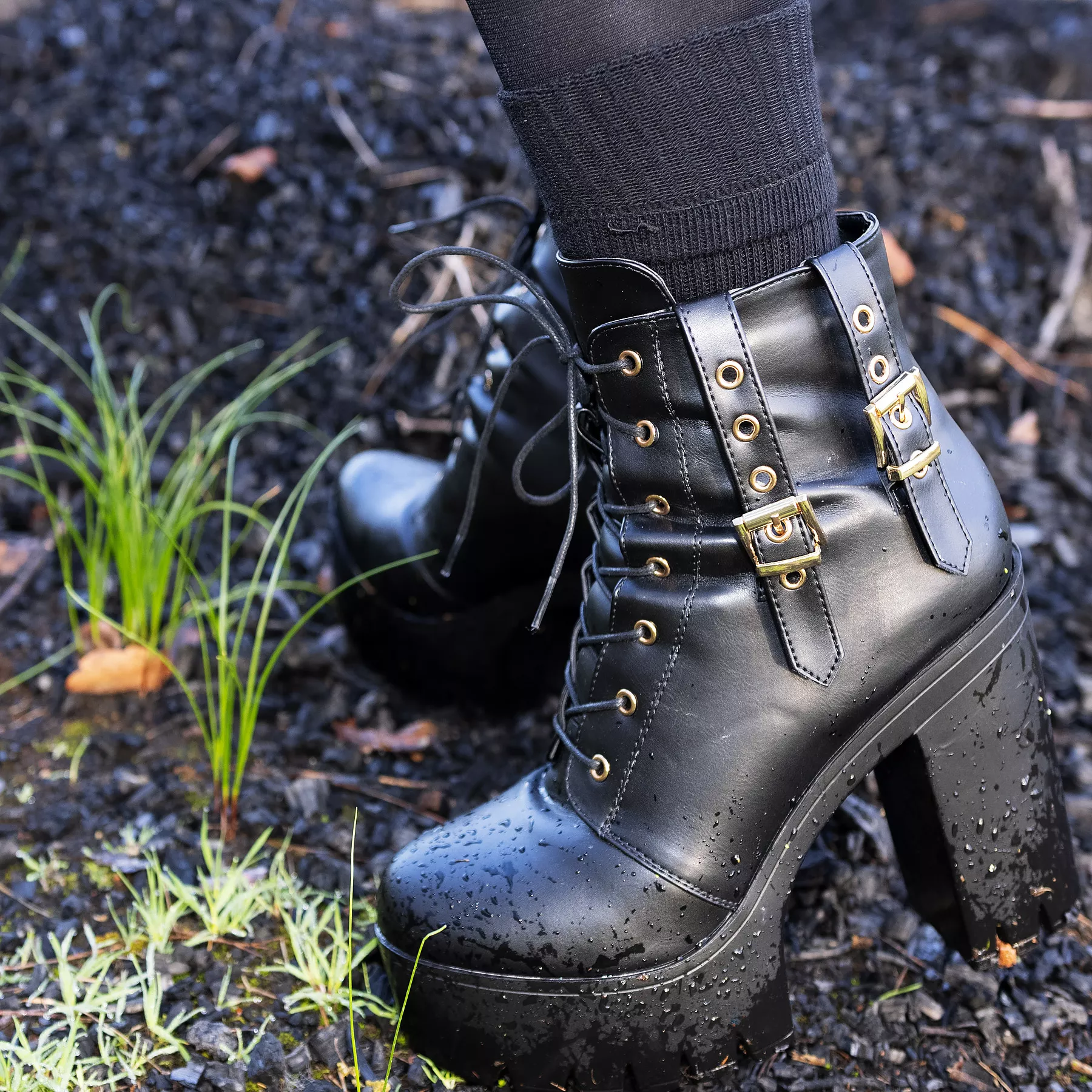 Spring is coming! posted by iikutsu