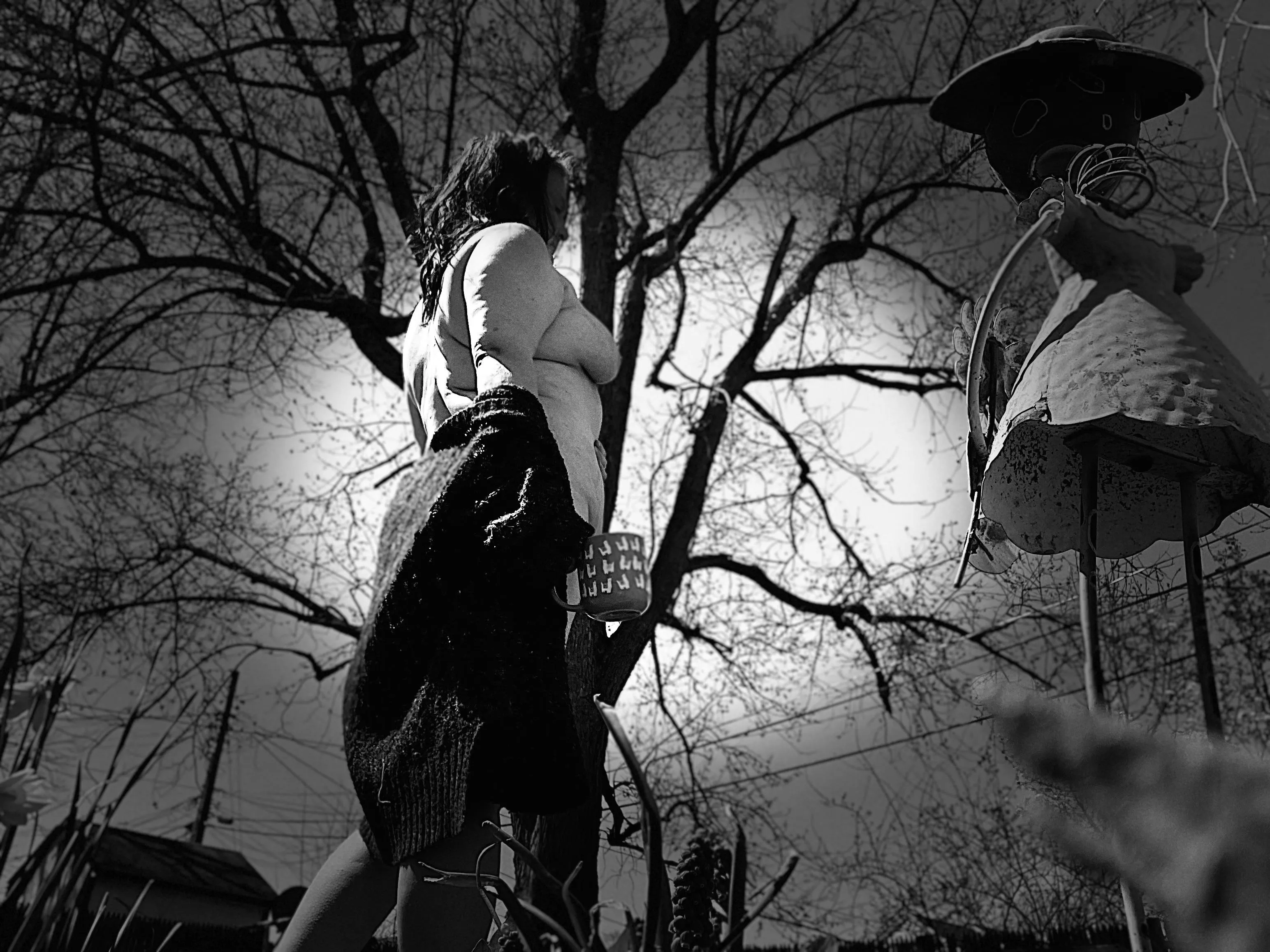 Spring is in the air posted by jely5