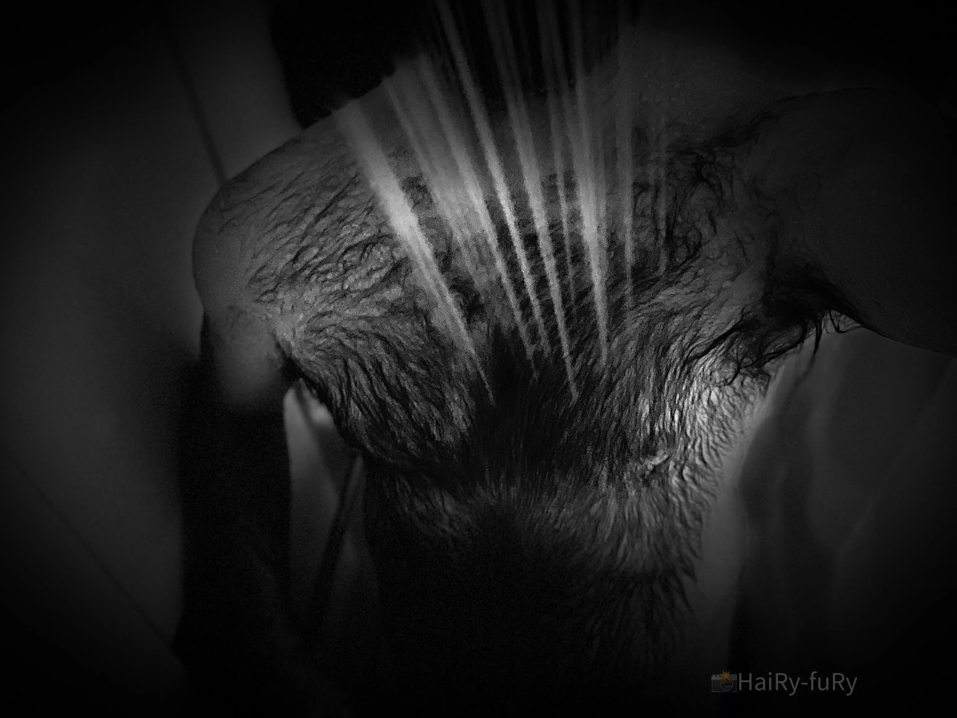 Spring shower. Happy equinox, furry bros! posted by HaiRy-fuRy