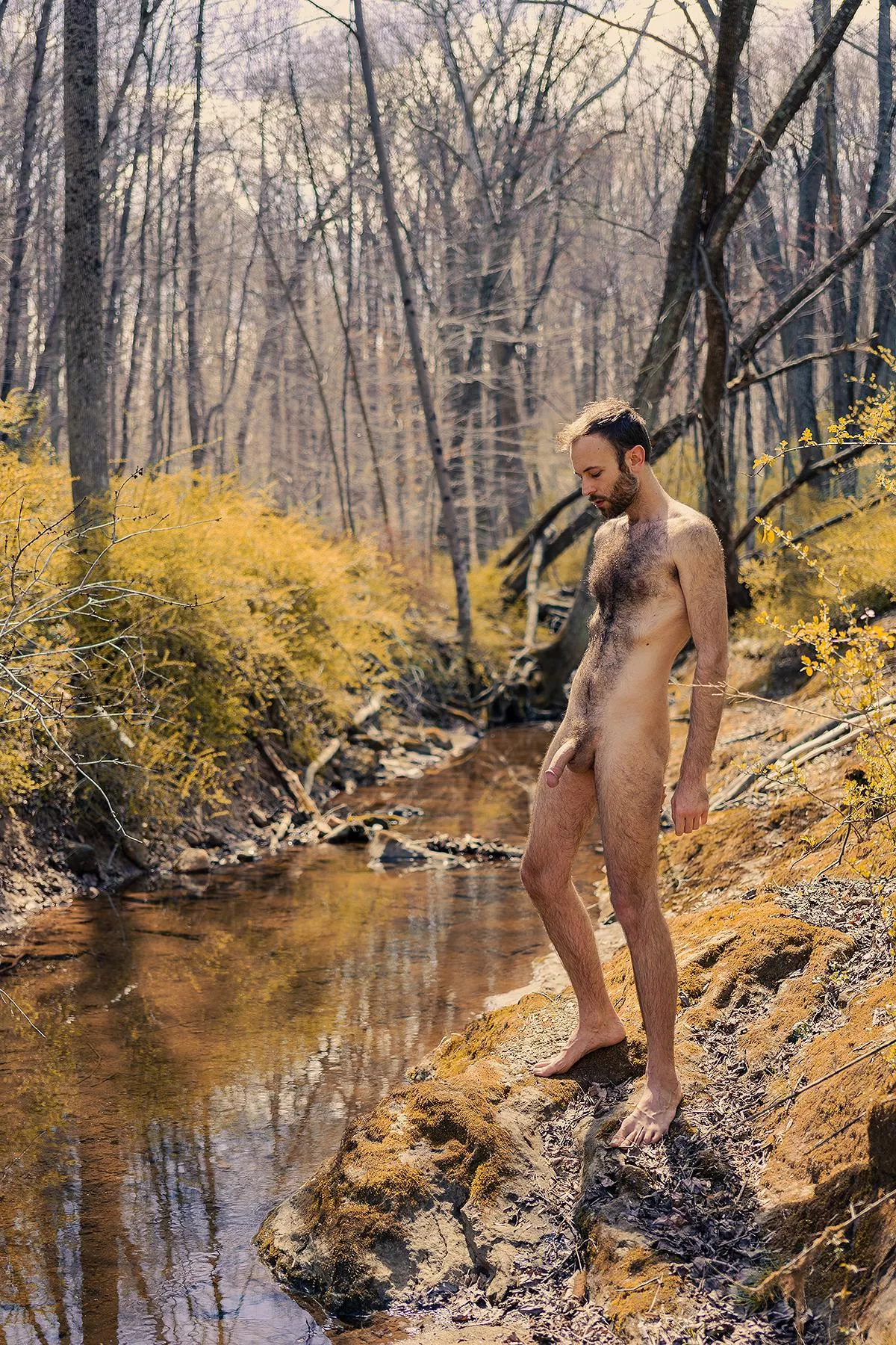 Spring time posted by briansphotographs