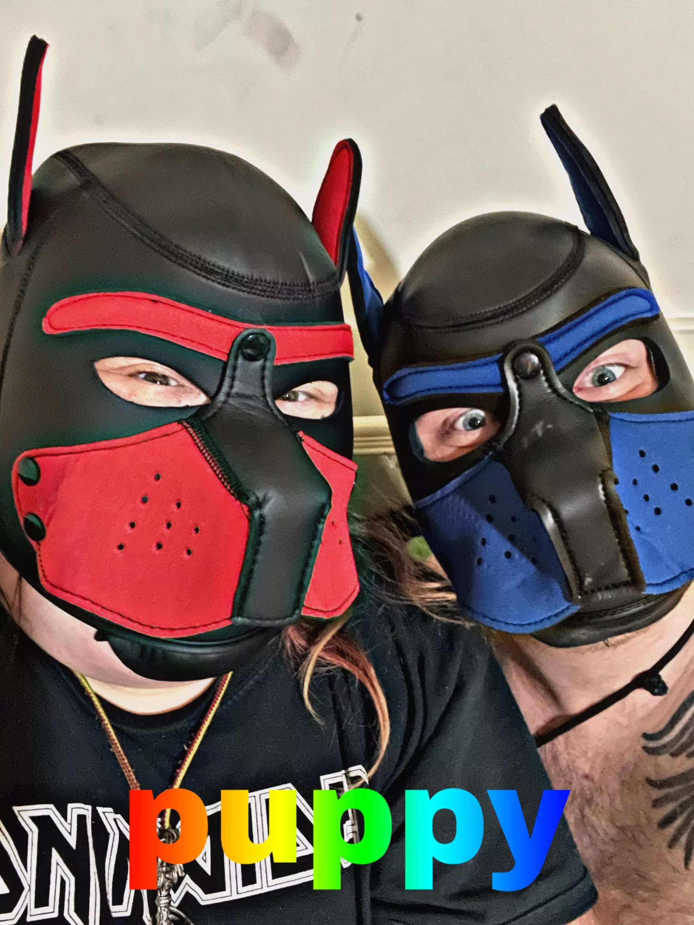 *SQUEEEE* posted by SadGhostKitten