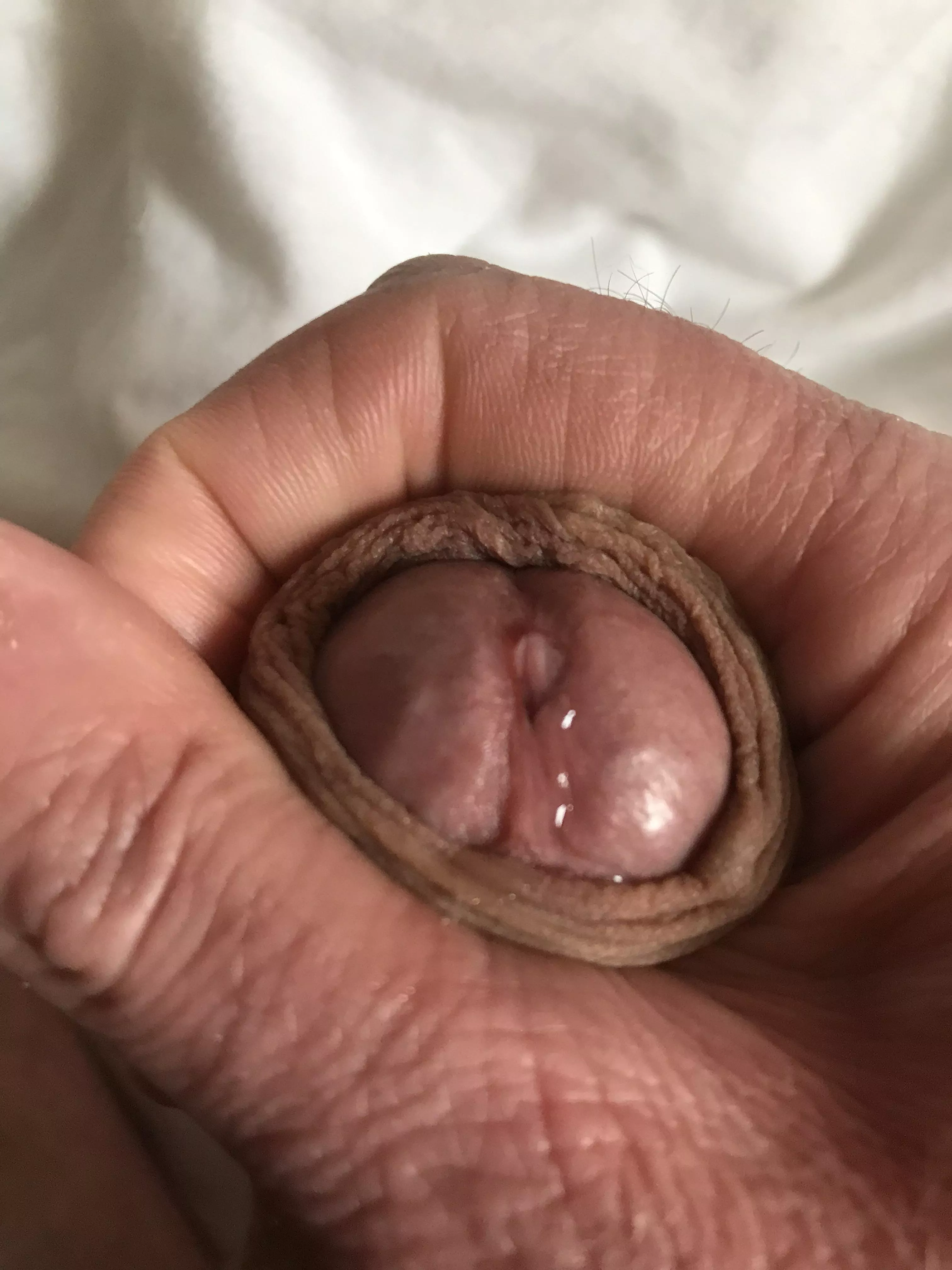 Squeezing it out. posted by Dadcantstayaway