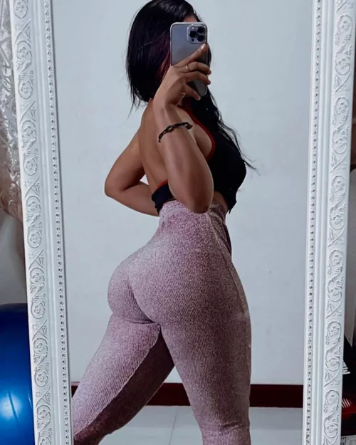 Stallion by Nbaquest