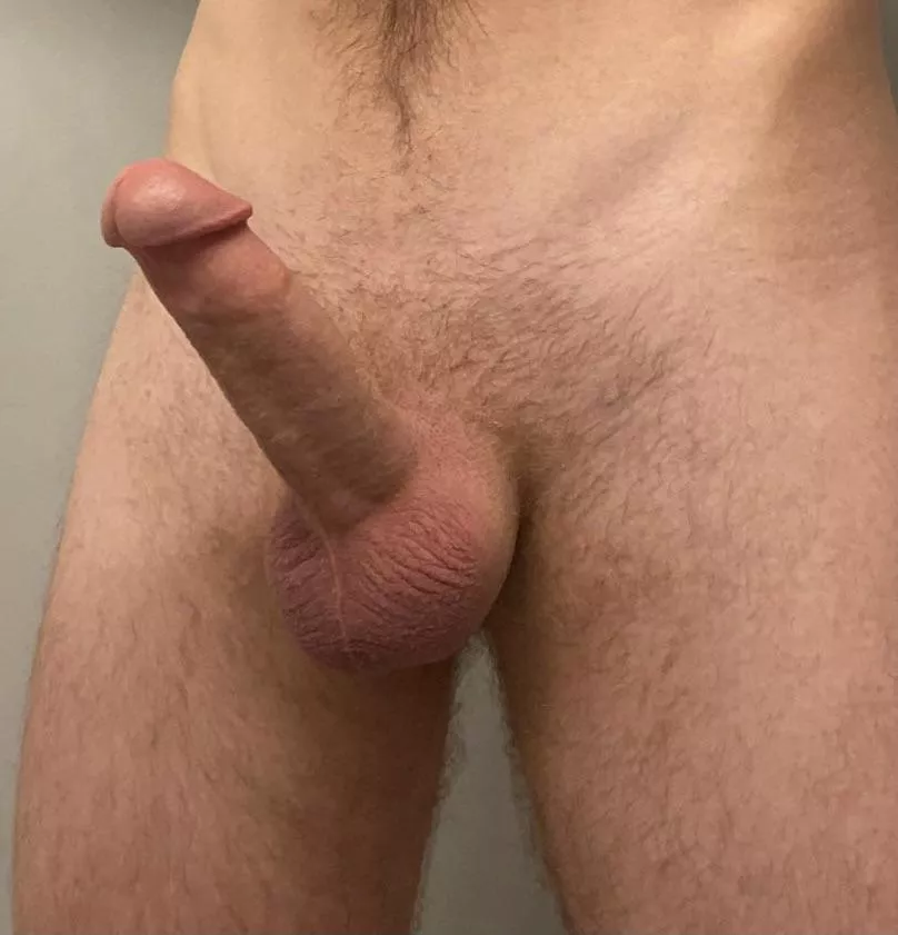 Standard posted by madelt44