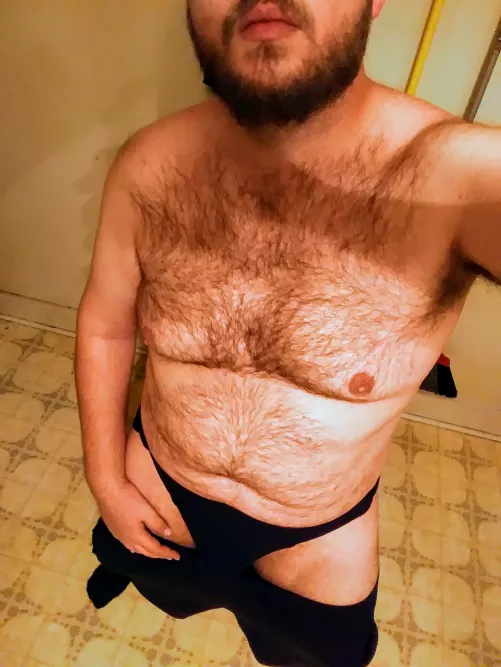 Standing bears are generally curious by Exhibear69