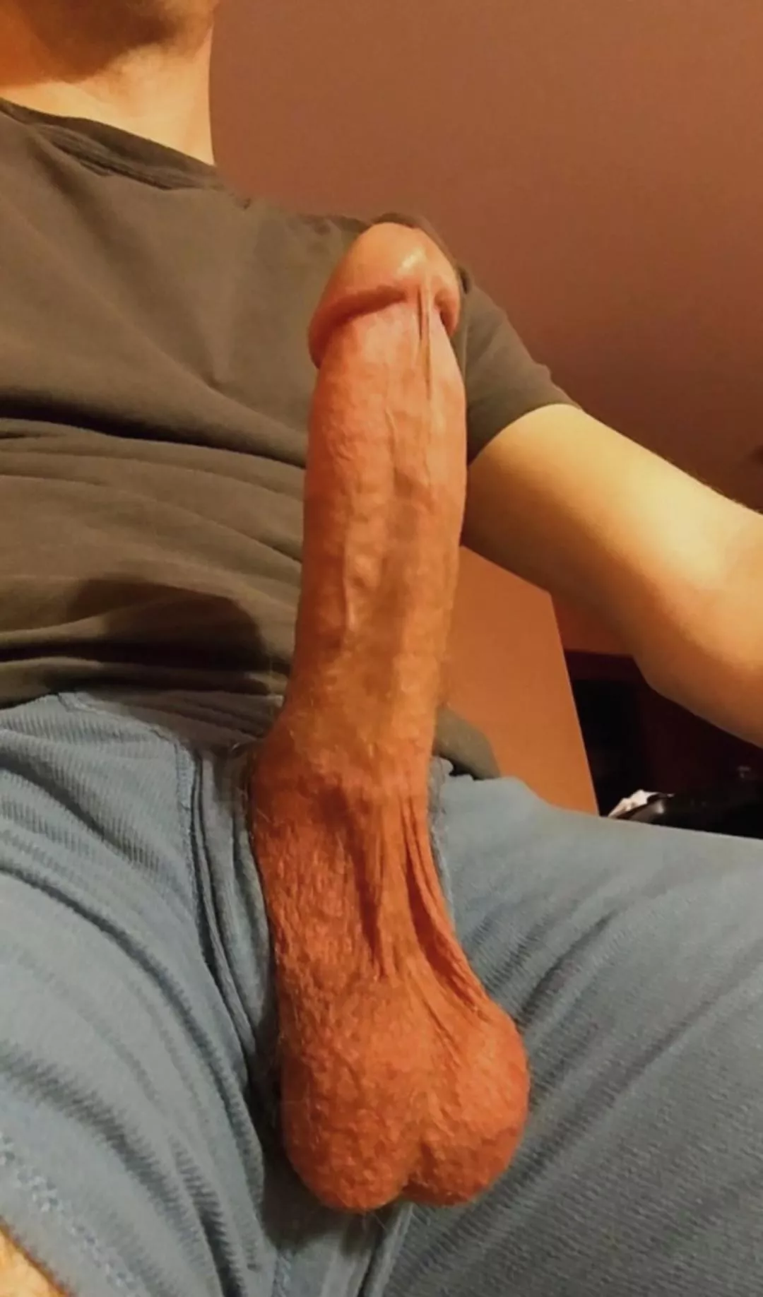 Standing tall and hanging low posted by GreedyImplement7719