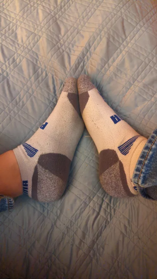 Start sniffing boys! by Biaxialsphere00