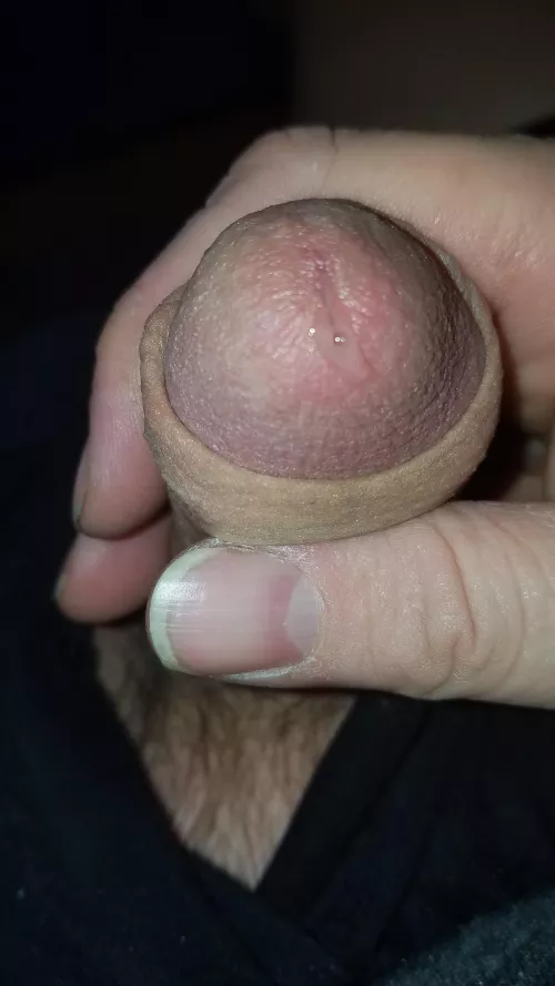 starting to drip... by Dave43M