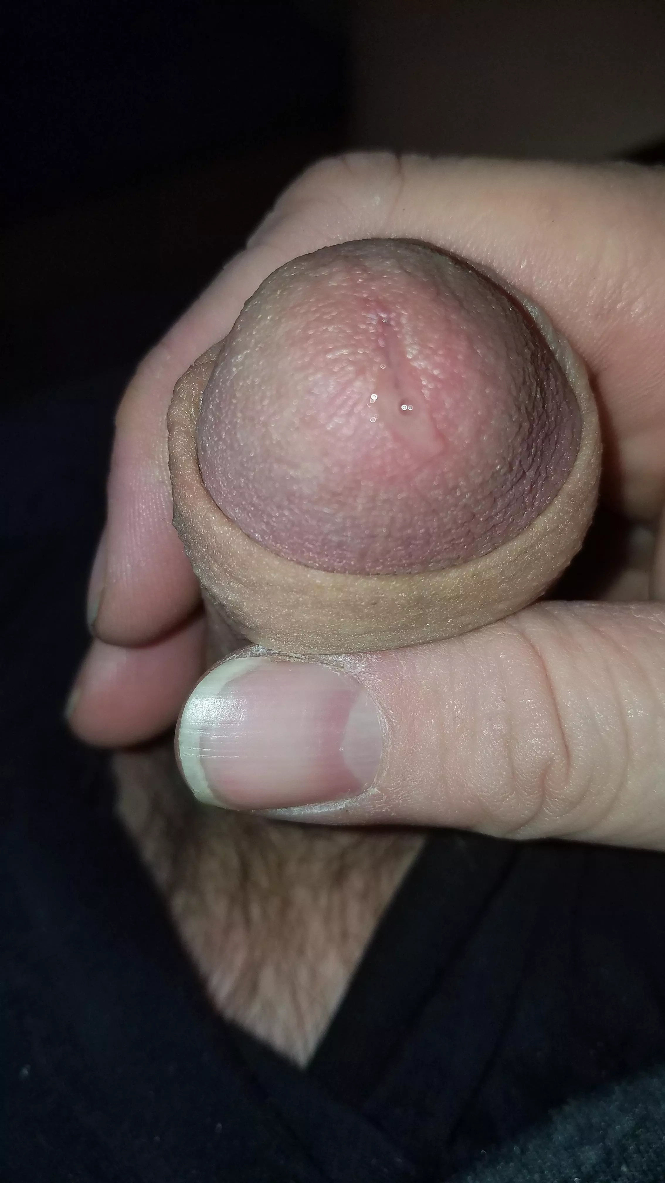 starting to drip... posted by Dave43M