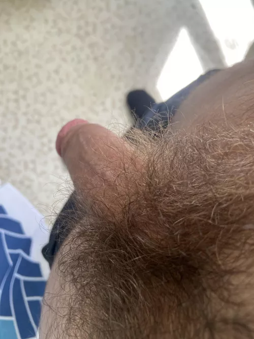 Stay at home dad looking for a way to make money; is there a market for my hairy cock by ripriptown
