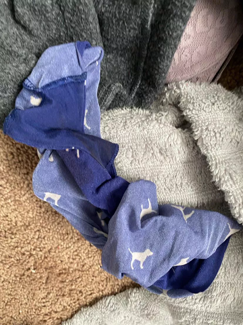 Steps PINK Puppies posted by vemdetta65