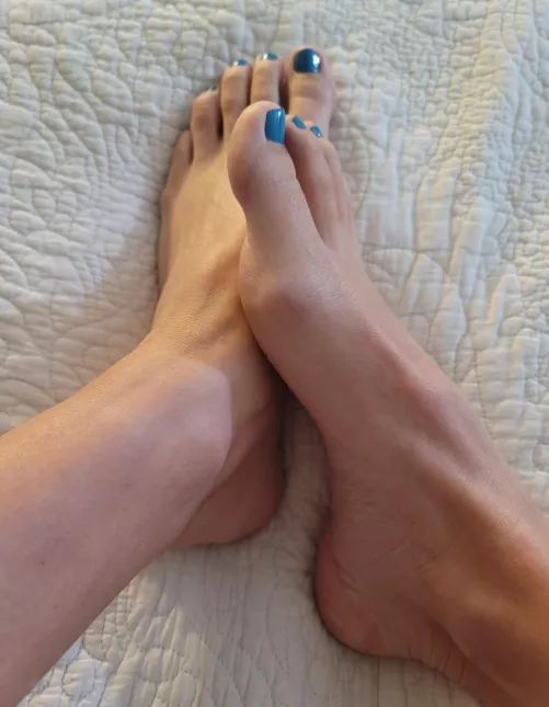 Still getting used to this color... thought I asked for teel... this seems more blue. by Your_Neighbors_Wife