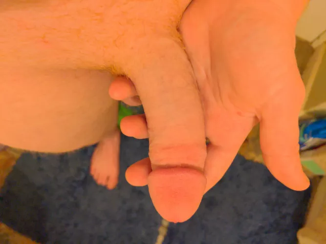 Still shy by ffumder-rM