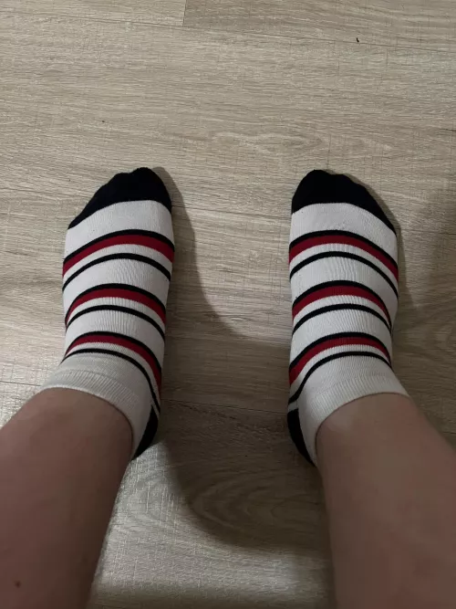 Striped ankle socks are everything [M] by anklesockenthusiast