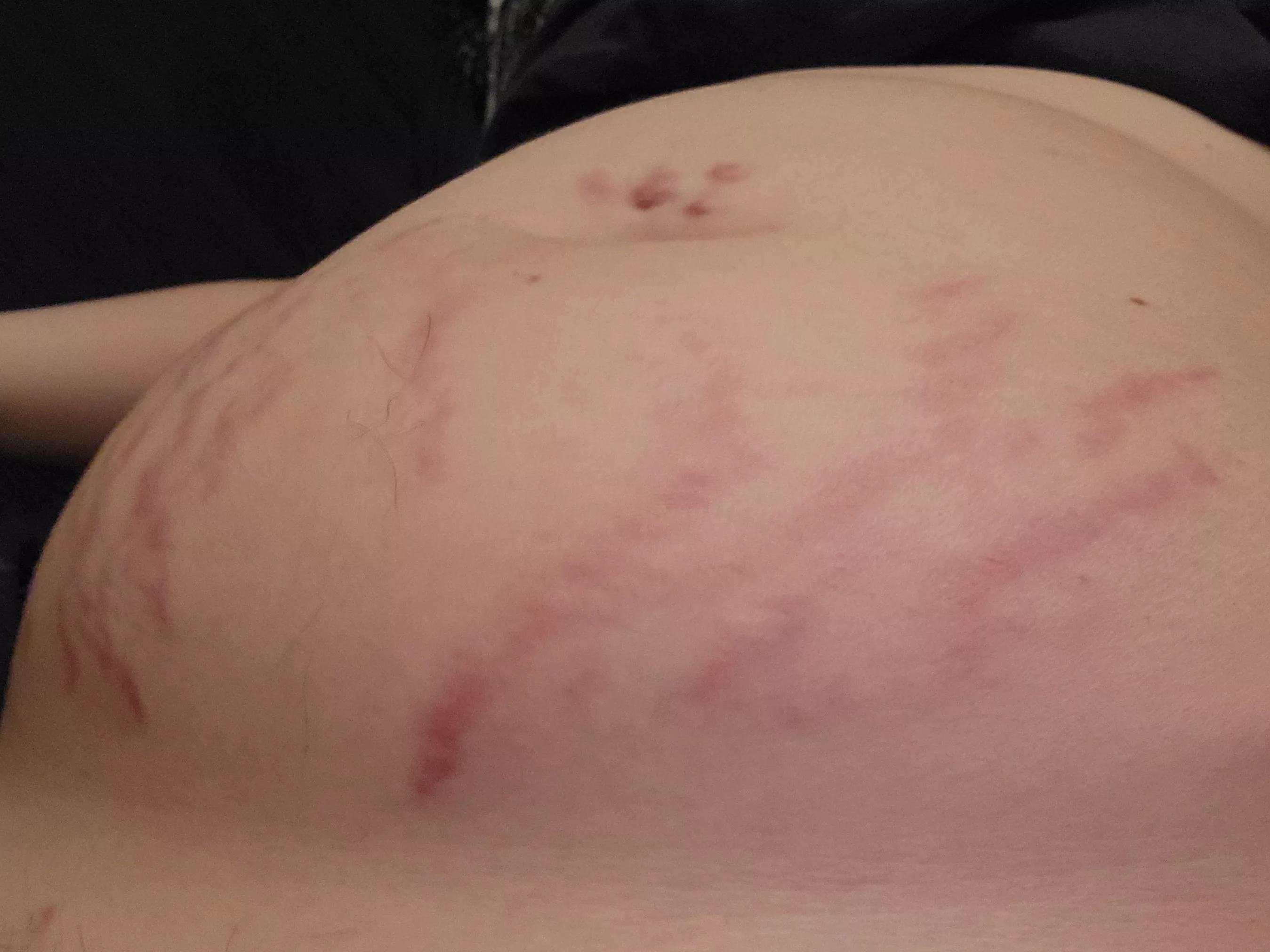 stuffed, round, ready for a nap posted by Makemeround33