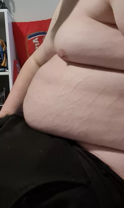 stuffed by Normal_DeskYT