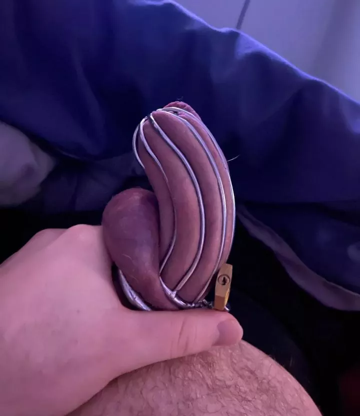 sub always Lock with cage tight 🗝️ posted by goodness_mary77