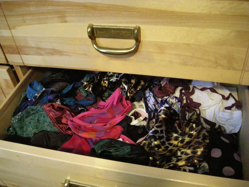 Subs home alone? Able to carry out tasks as a good beta sub? I’m looking for panty raids. - private + discrete. posted by del1995134