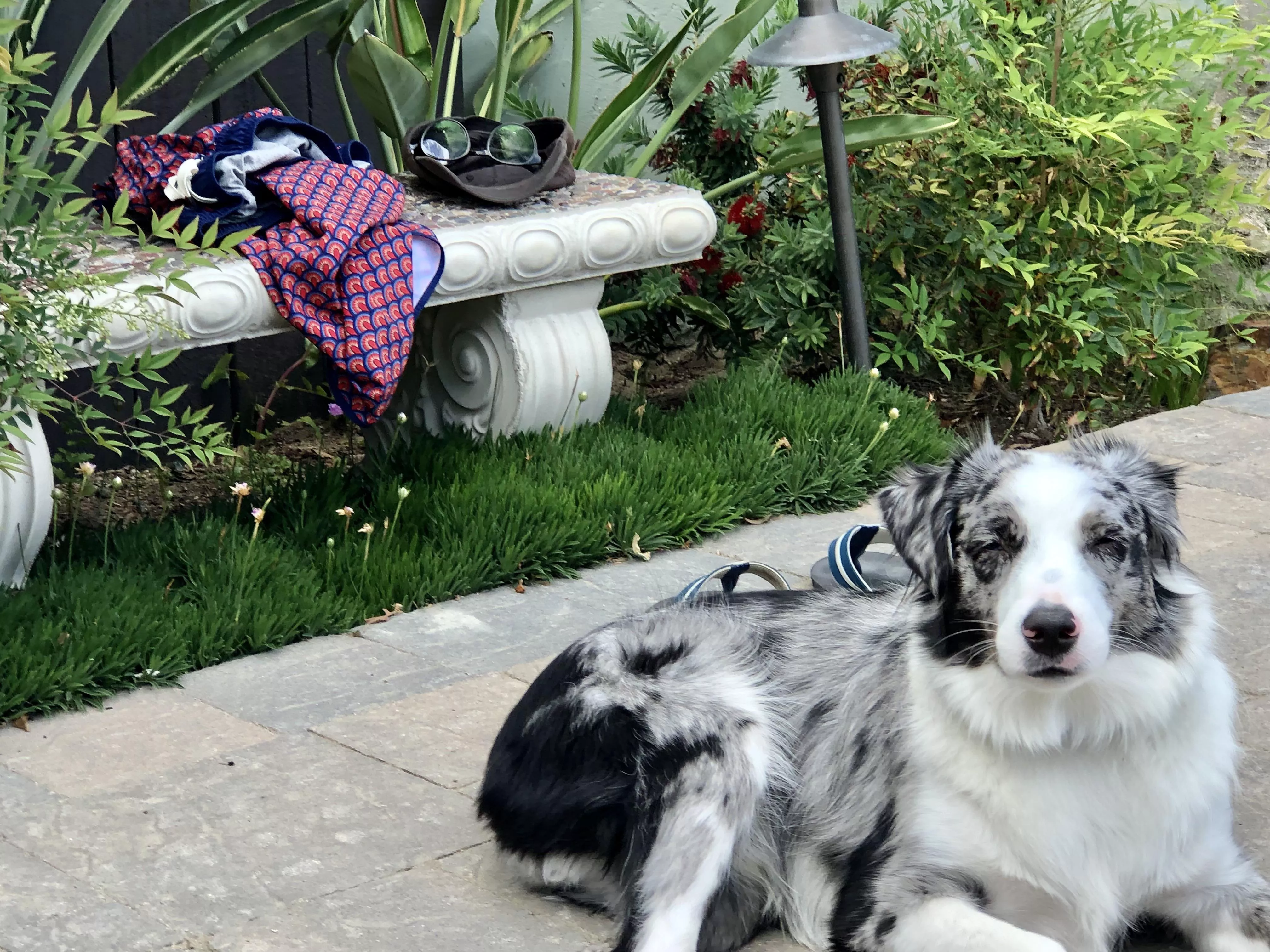 Subtle backyard pool nudism photo posted by sky1959walker