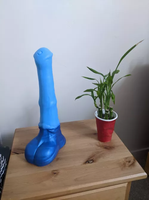 Success transaction with u/Lormeck by DragonDickDestroyer1