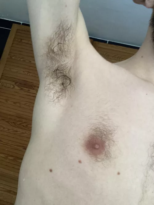 succumb to my scent by thxxxnks