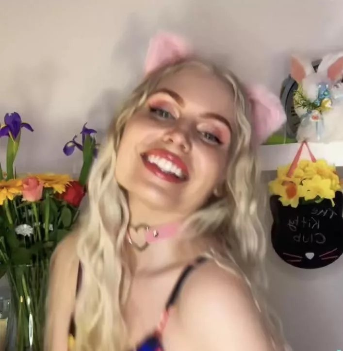 Such a happy Kitty ! posted by ittybityprettykitty