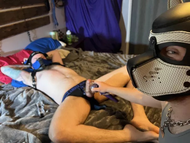 Such a mischievous look that says - “how quick are we gonna get him off today, sir?” by PackLydo