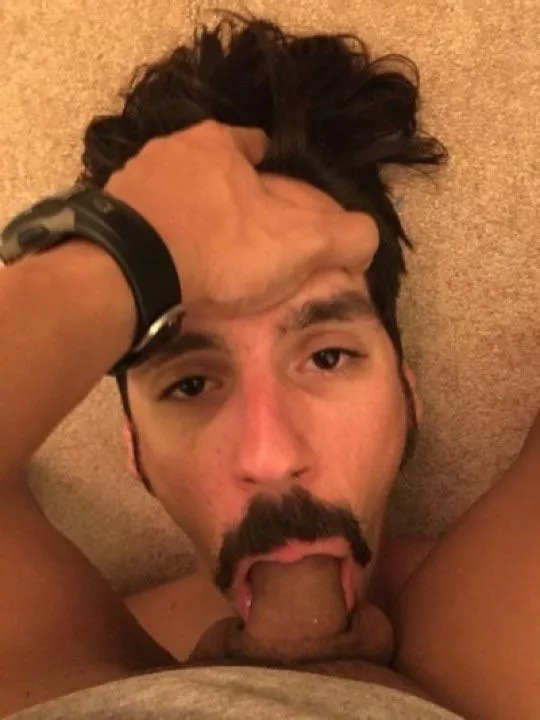 Suck it boy by Str8_Dom_4_Fags