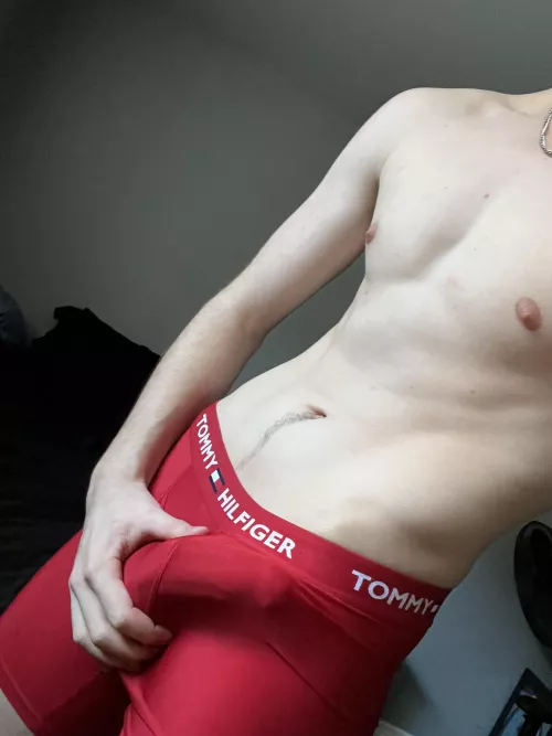 Suck my bulge until I cum by sadboycad