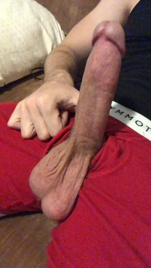 Suck on my balls and make me cum all over your face by Real_Courage3132