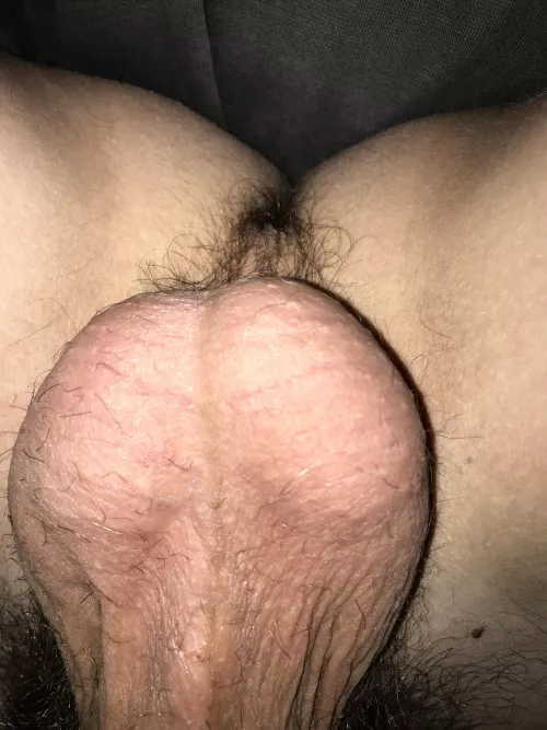 Suck them maybe? by Beans10020