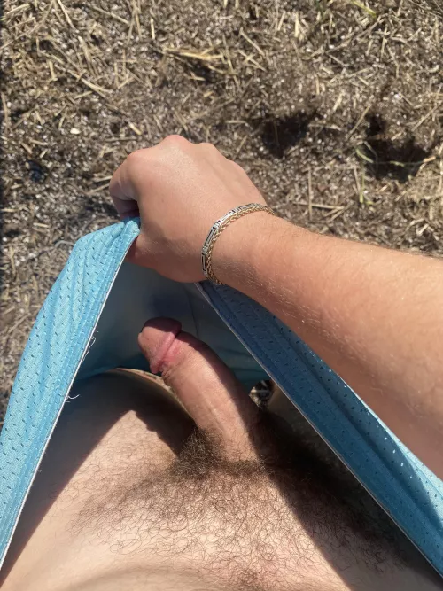 Summer bush is coming in nice by Bleeper4