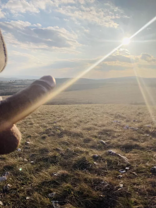 Sun is shining, I can’t hiding 😁😅 by MrCarterPeet