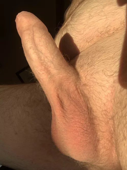 Sun Kissed by merms1d