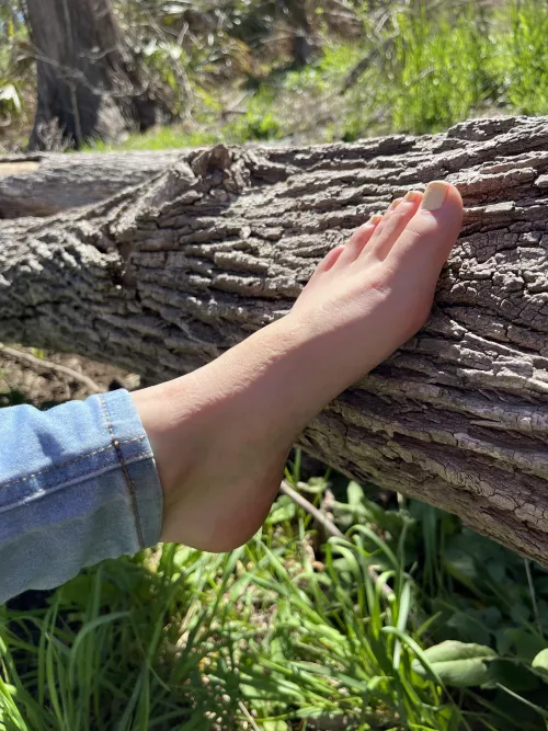 sun pics ☀️ by jennisweets