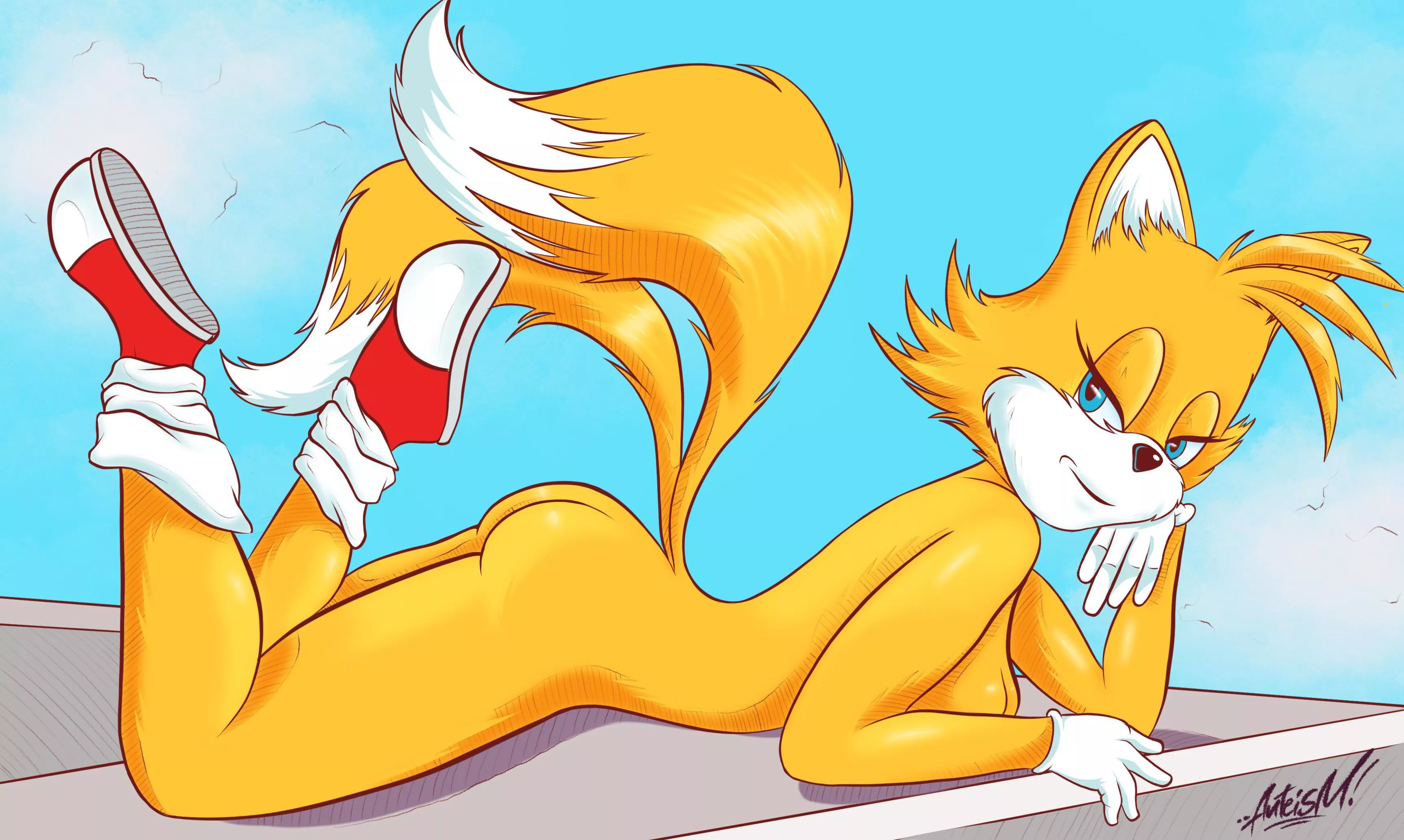 Sunday for Tails. (__anteism) posted by _antheism