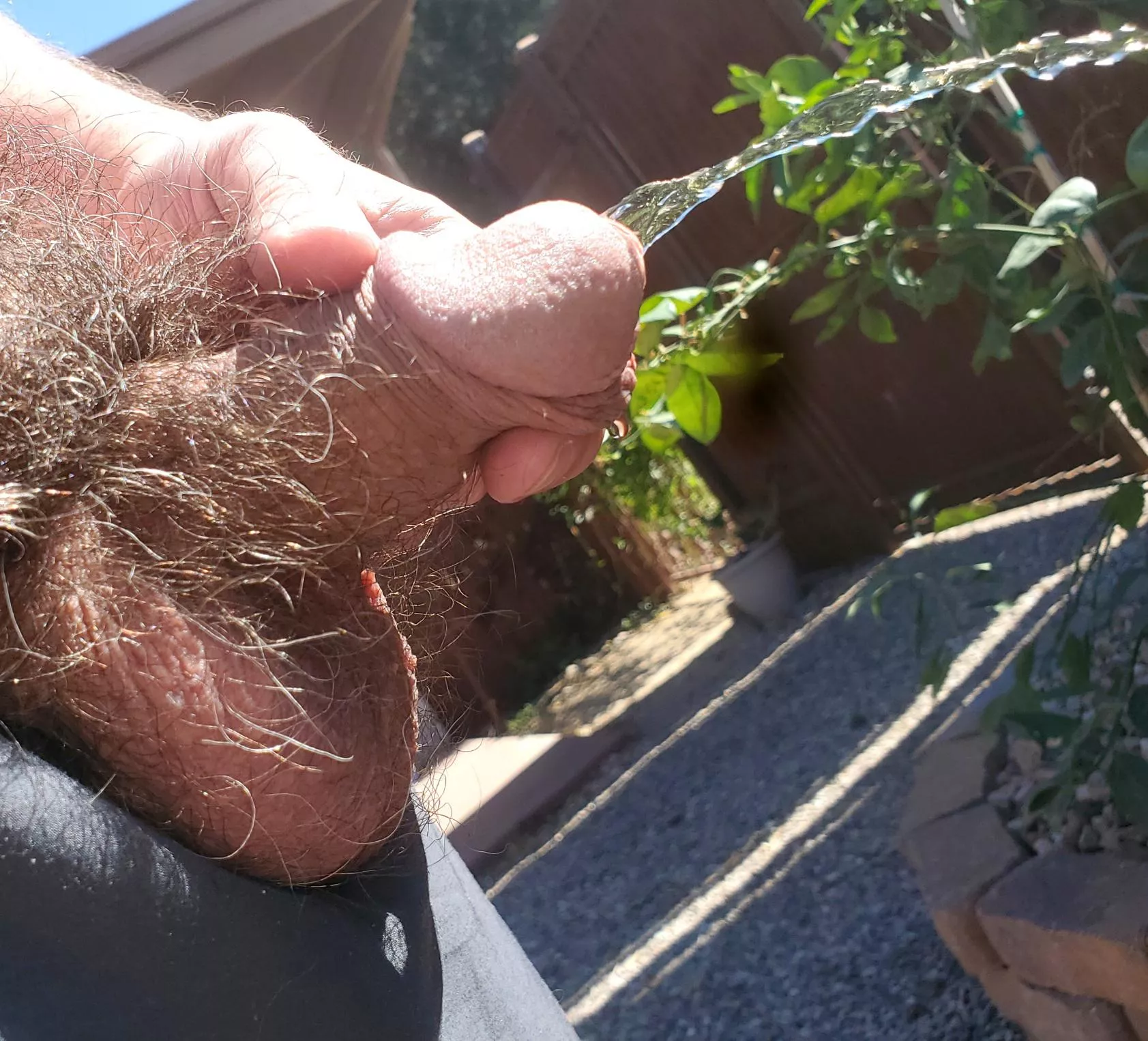 Sunday piss posted by 7inlicker