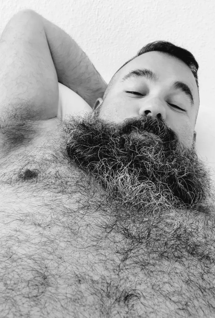 Sunday snuggles? posted by beardguy505