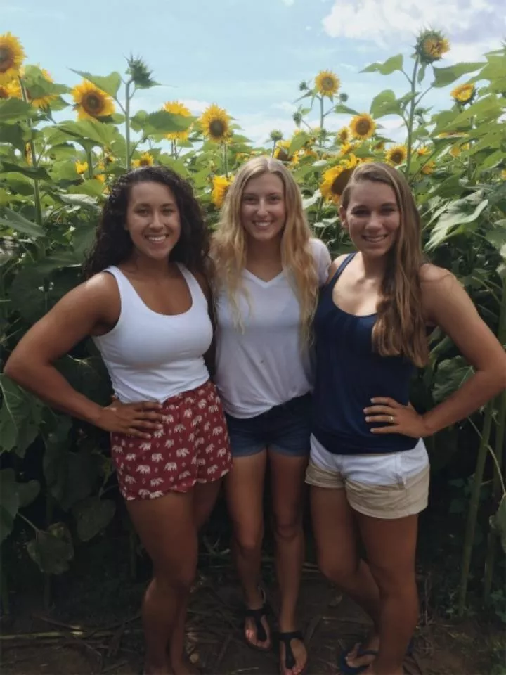 SunFlowers posted by Melchiazedeck